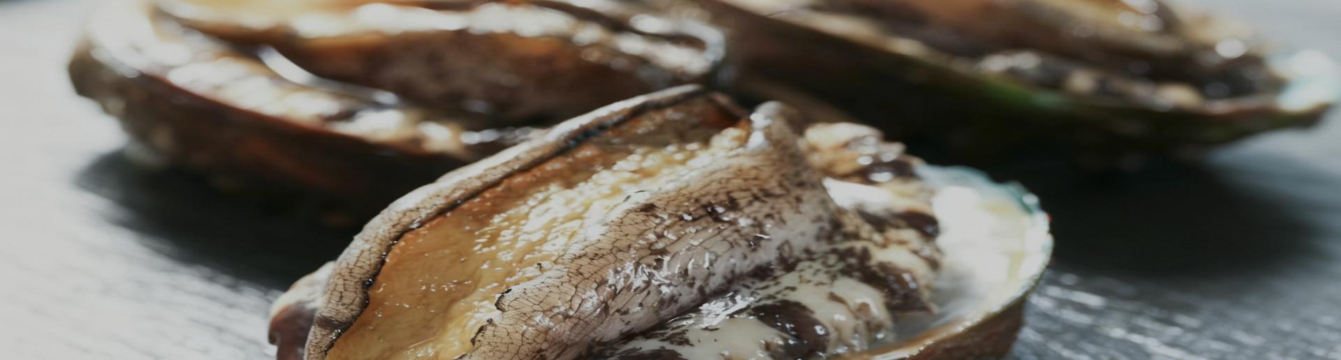 福建福鲍网科技有限公司